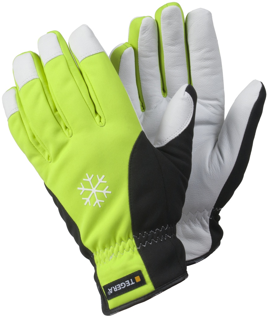 HANDSCHOEN TEGERA 293 (1PR)