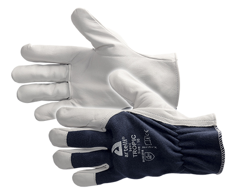 GANT TROPIC 2PACK (2PR)