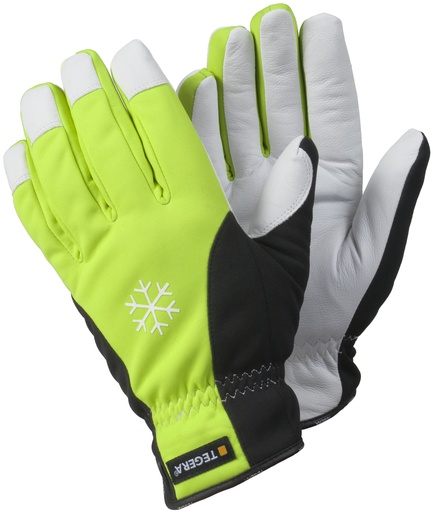 HANDSCHOEN TEGERA 293 (1PR)